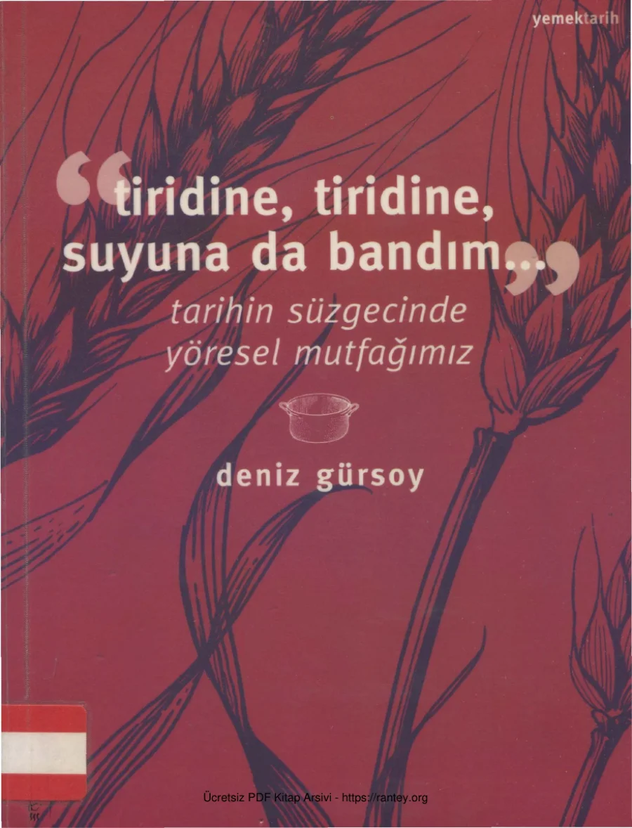 Tarihin Süzgecinde Yöresel Mutfağımız kapak görseli