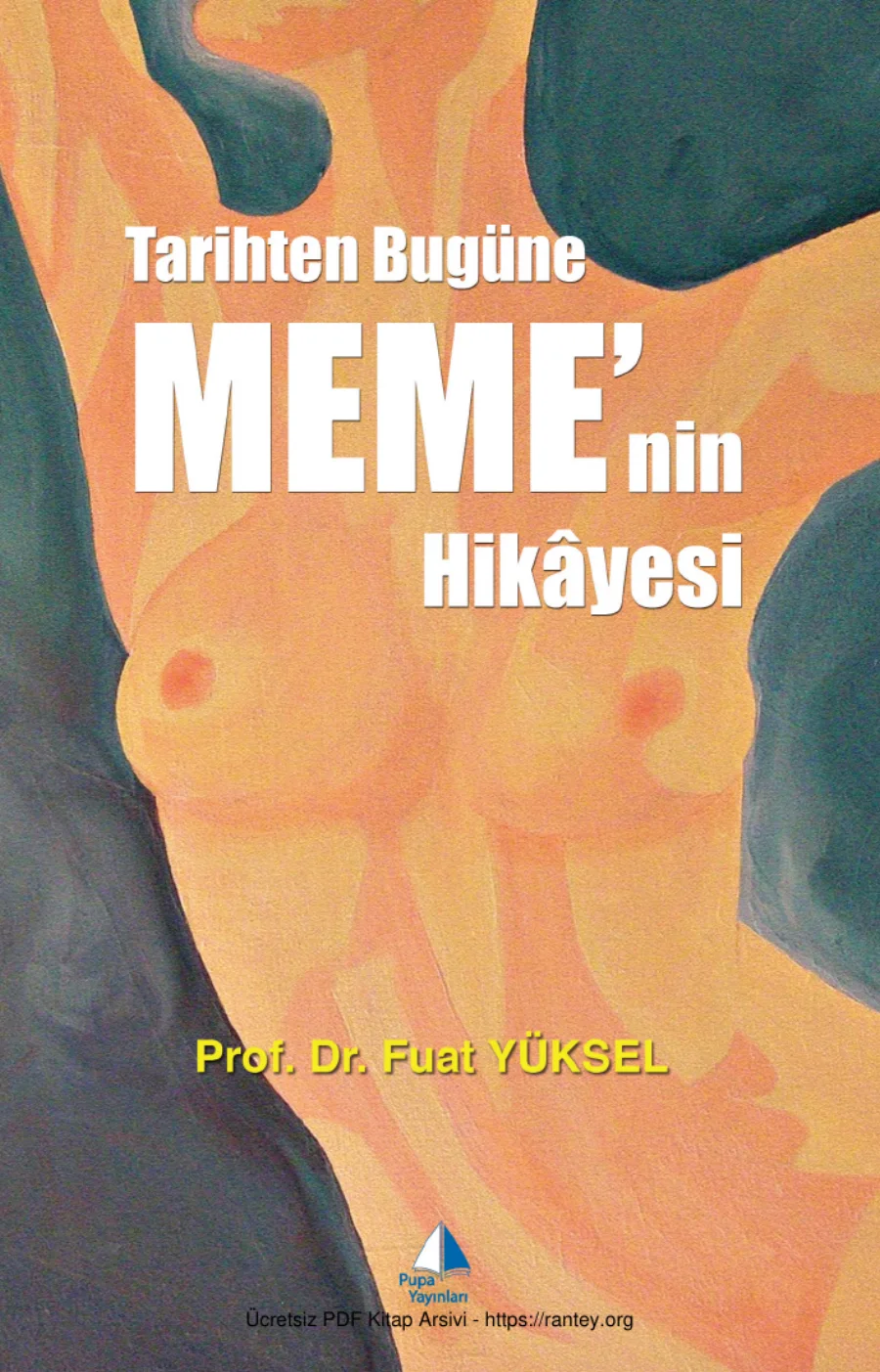 Tarihten Bugüne Memenin Hikayesi Pupa Yayınları kapak görseli