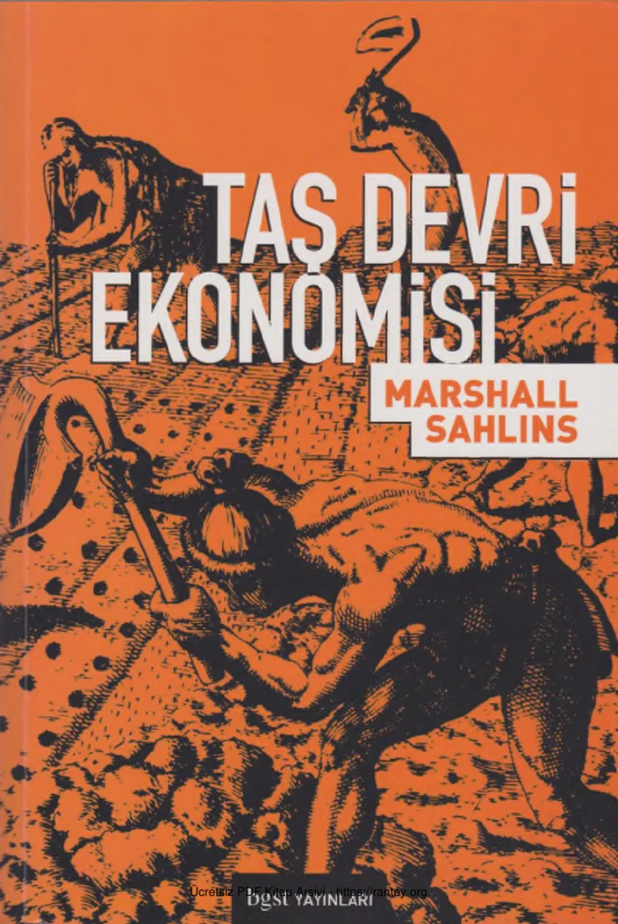 Taş Devri Ekonomisi kapak görseli