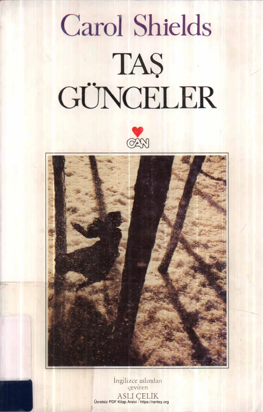 Taş Günceler kapak görseli