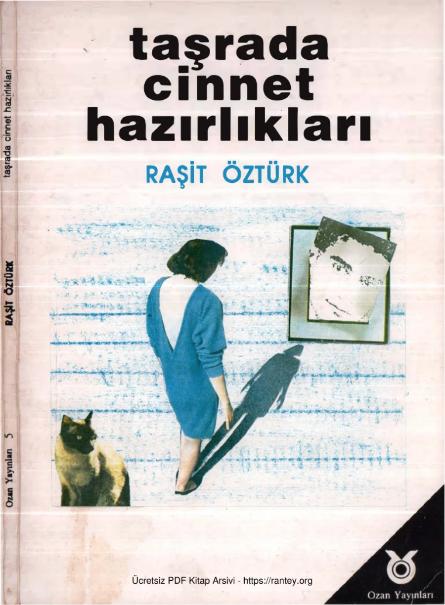 Taşrada Cinnet Hazırlıkları kapak görseli