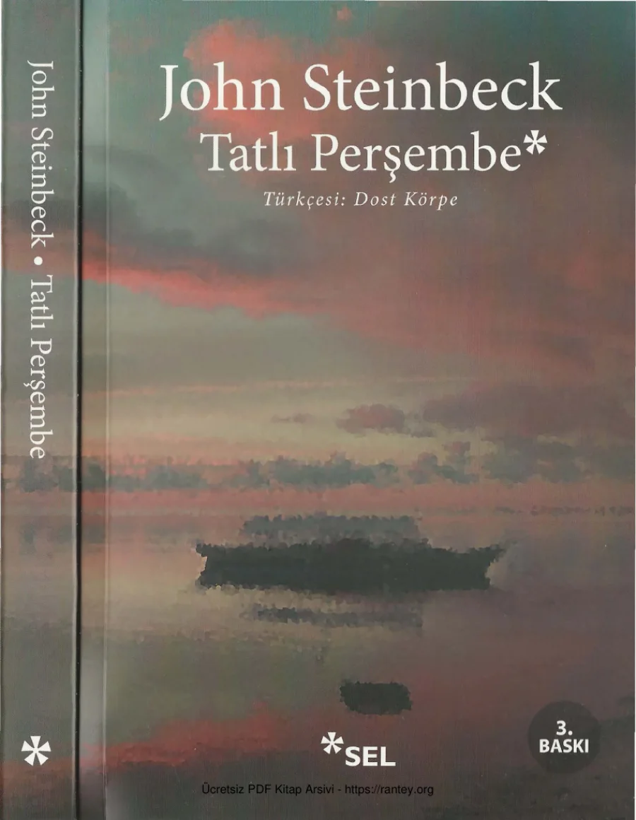 Tatlı Perşembe Sel Yayınları kapak görseli