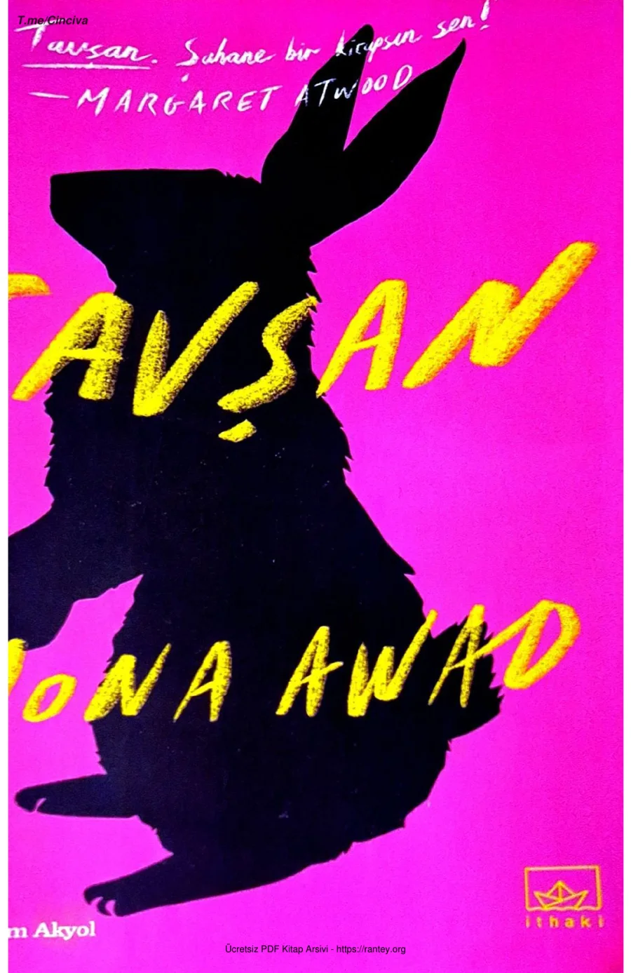 Tavsan Mona Awad kapak görseli