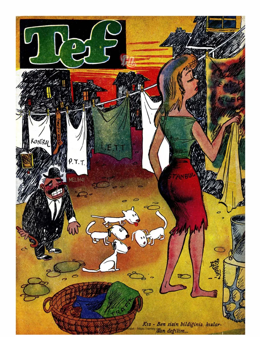 Tef1954 18 kapak görseli