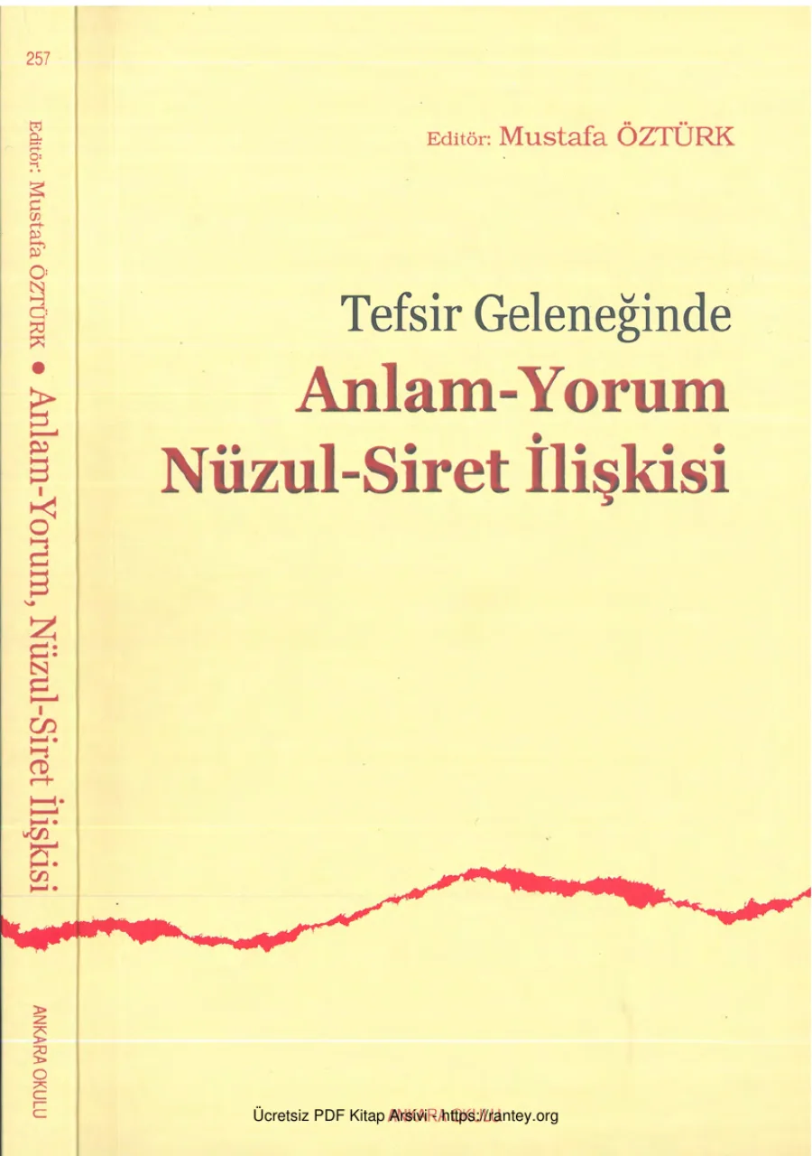 Tefsir Geleneğinde Anlam Yorum Nüzul Siret İlişkisi kapak görseli
