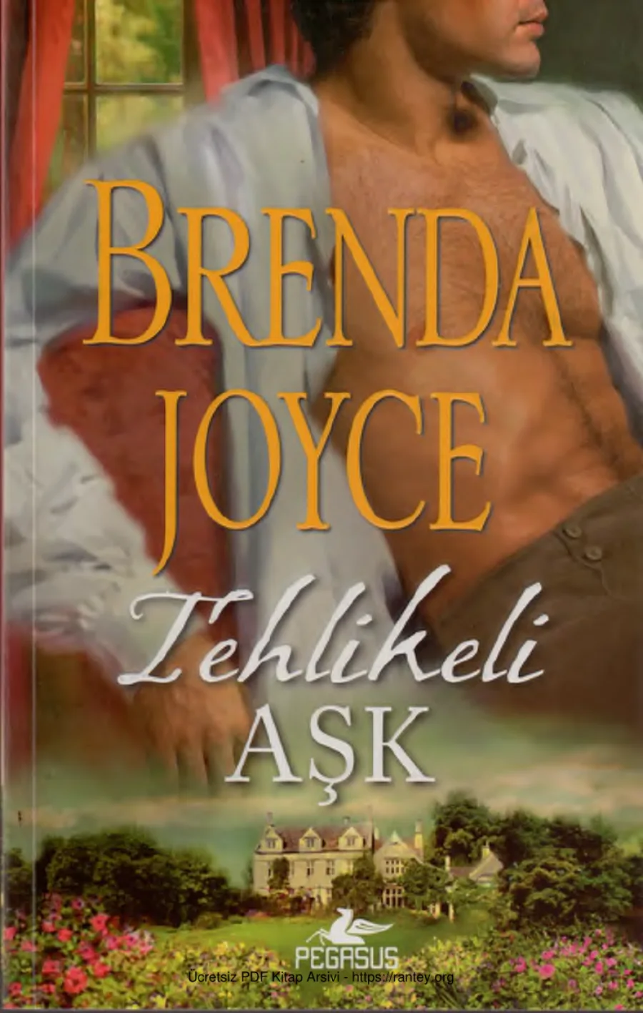 Tehlikeli Aşk kapak görseli