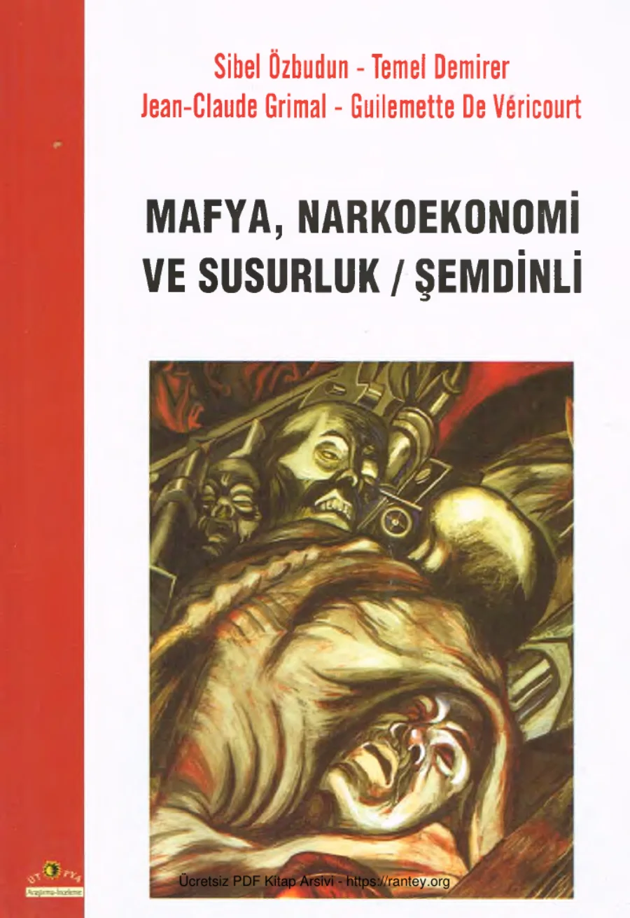 Temel Demirer Mafya Narkoekonomi ve Susurluk Şemdinli kapak görseli
