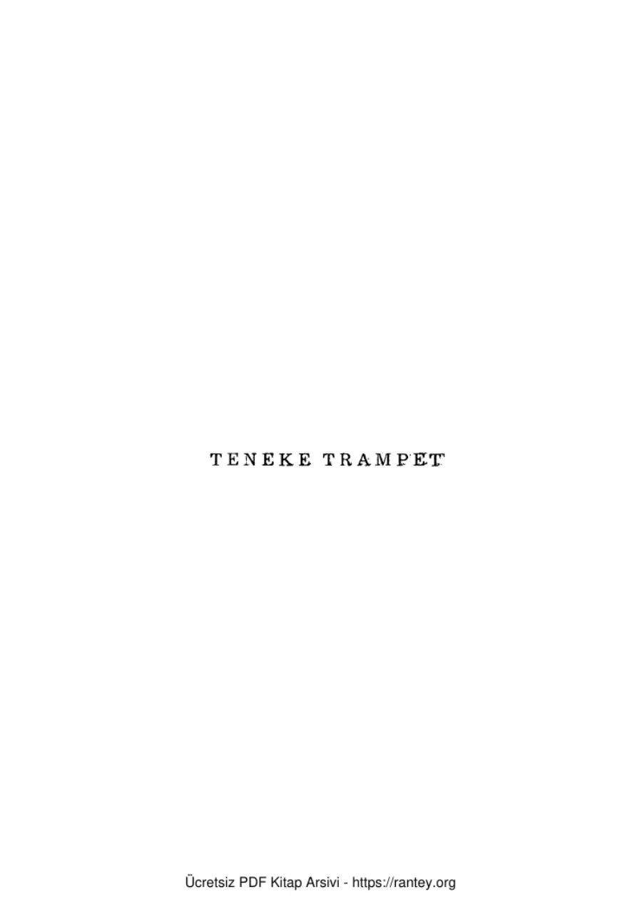 Teneke Trampet I II III Cilt kapak görseli