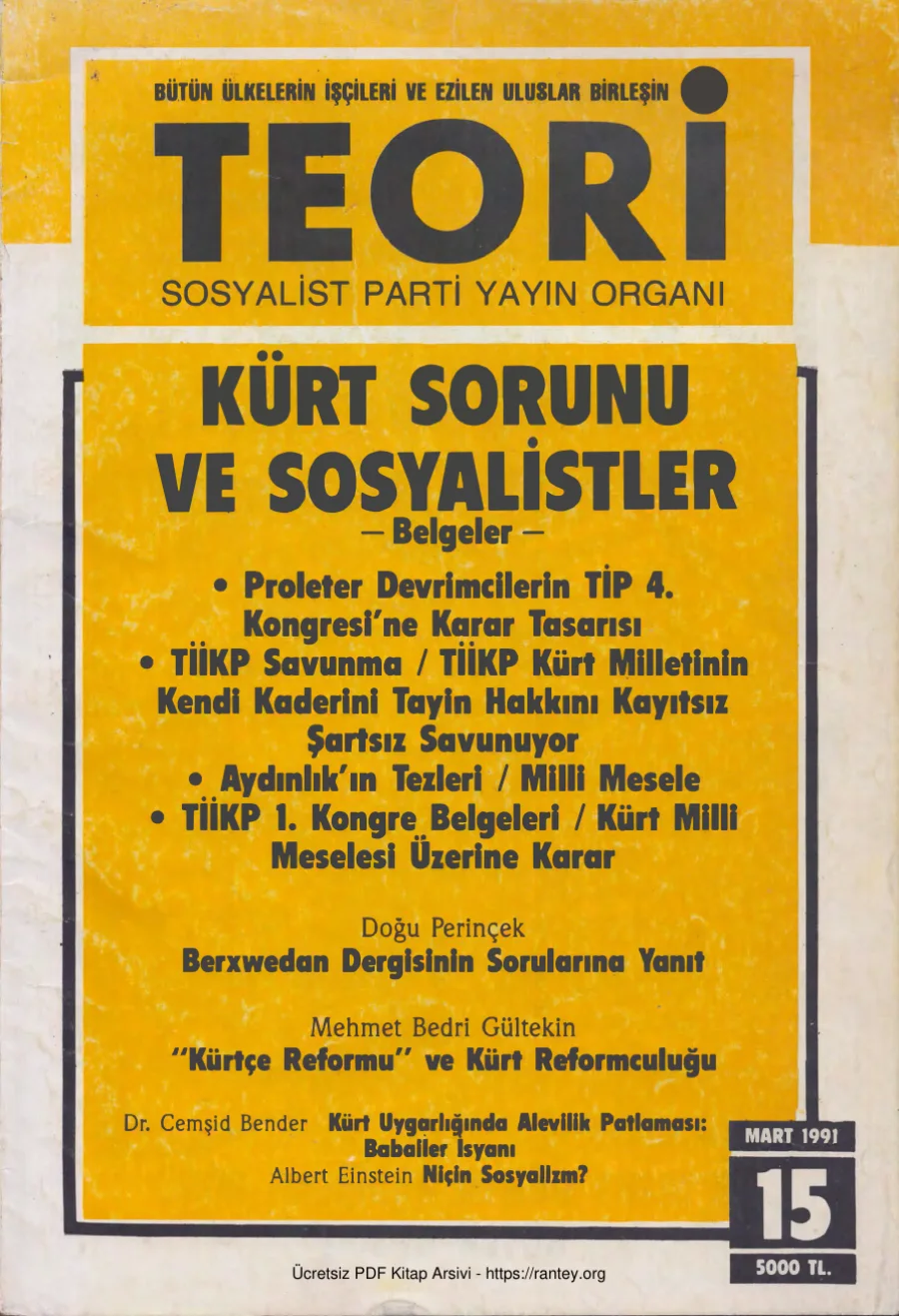Teori Sayı 015 - Mart 1991 kapak görseli