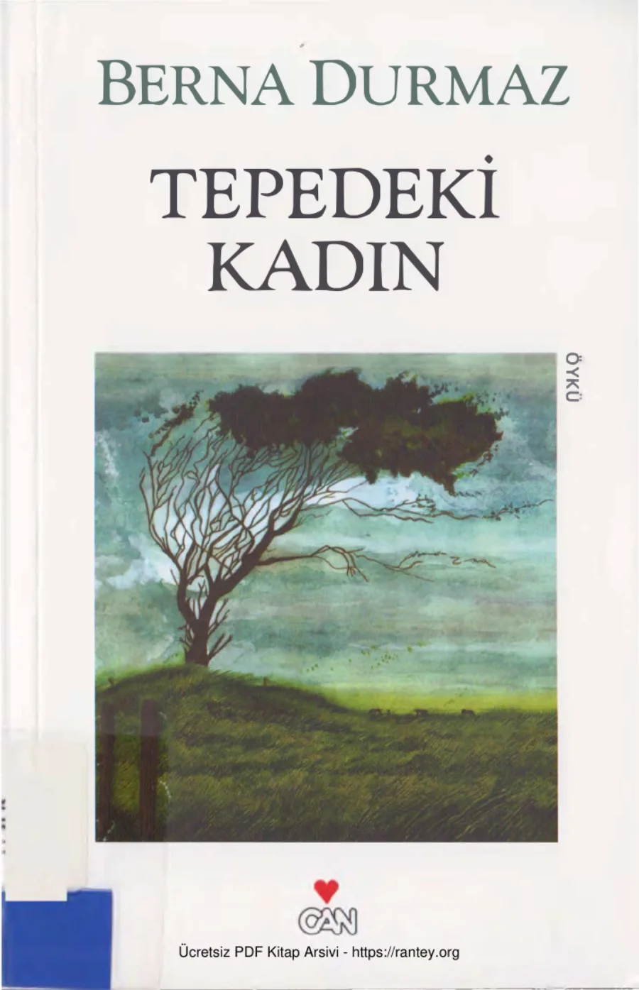 Tepedeki Kadın kapak görseli