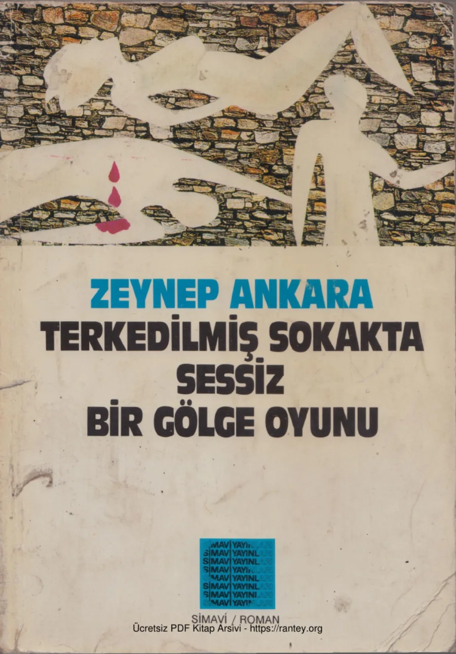 Terkedilmiş Sokakta Sessiz Bir Gölge Oyunu Simavi Yayınları kapak görseli