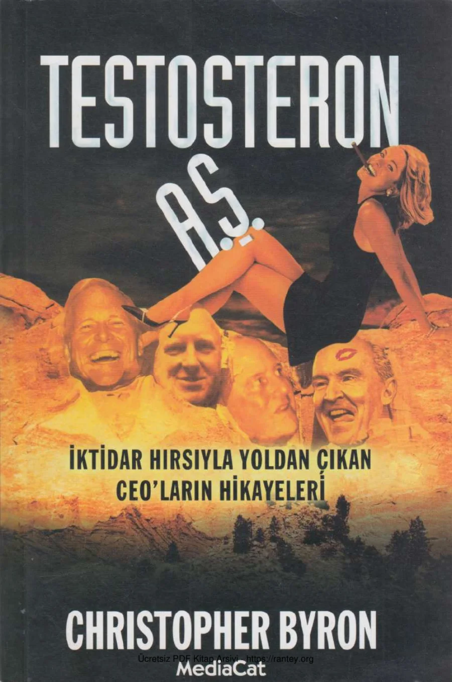 Testosteron AŞMediaCat Yayınları kapak görseli
