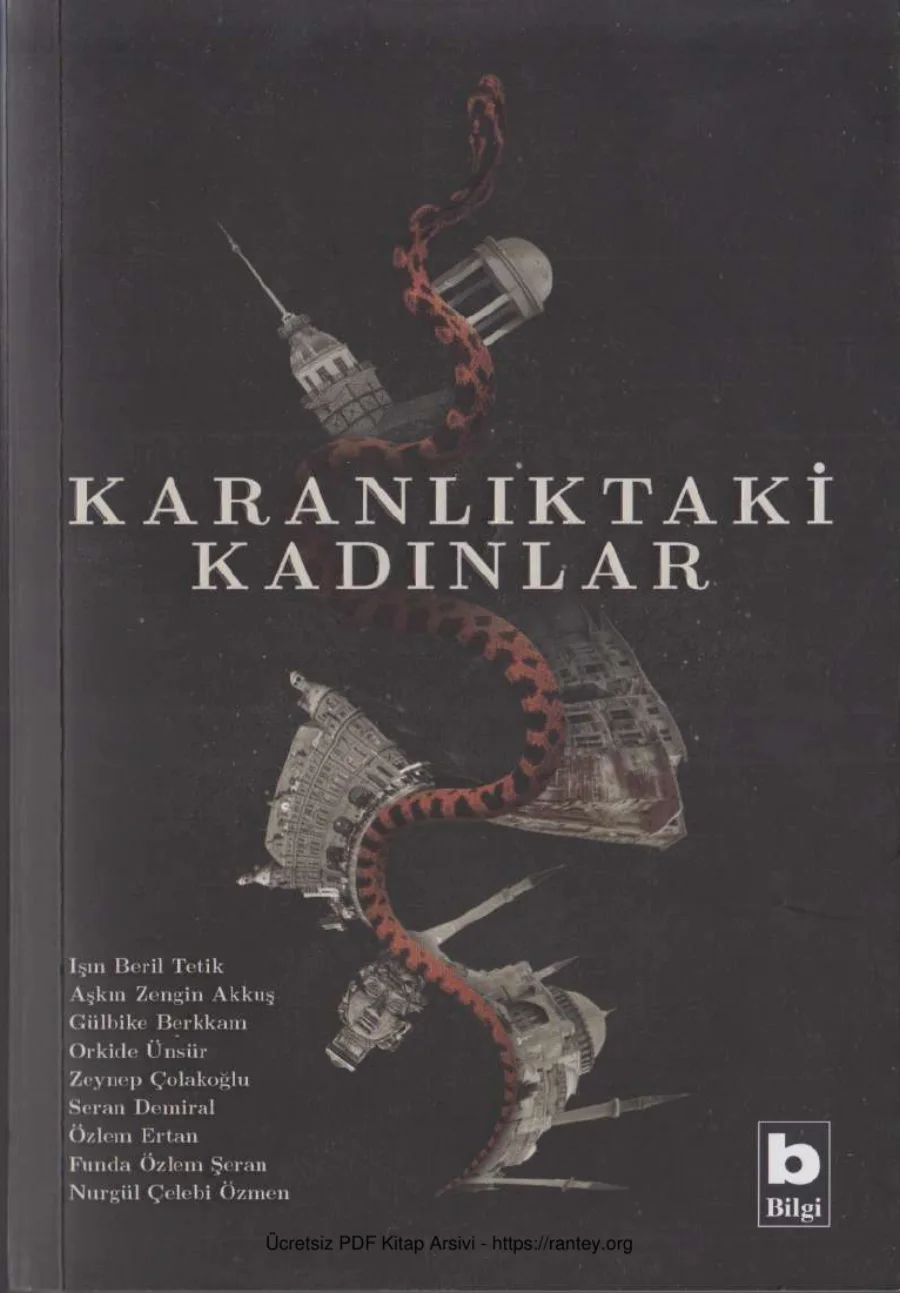 Karanlıktaki Kadınlar kapak görseli
