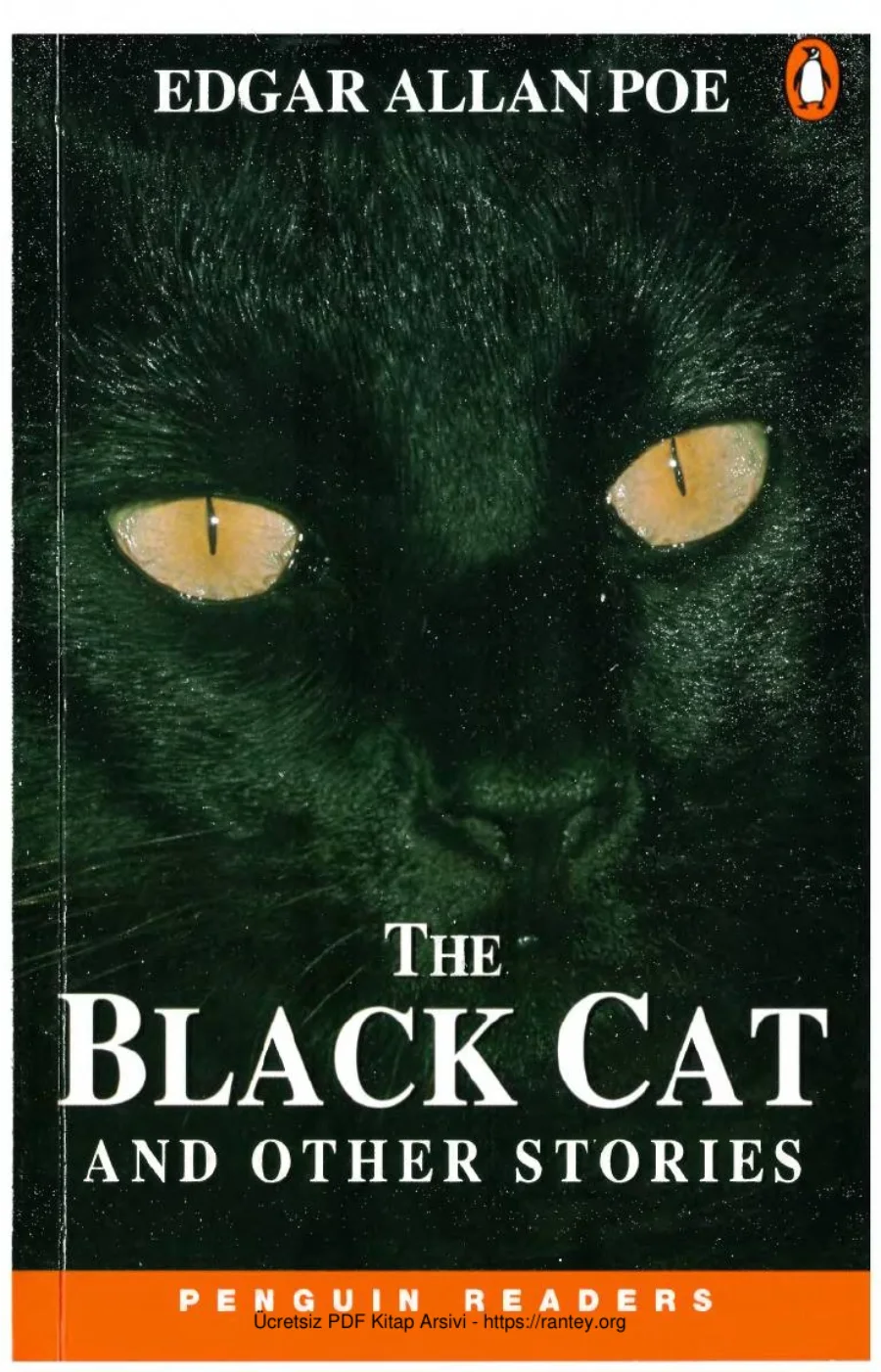 The Black Cat and Other Stories kapak görseli