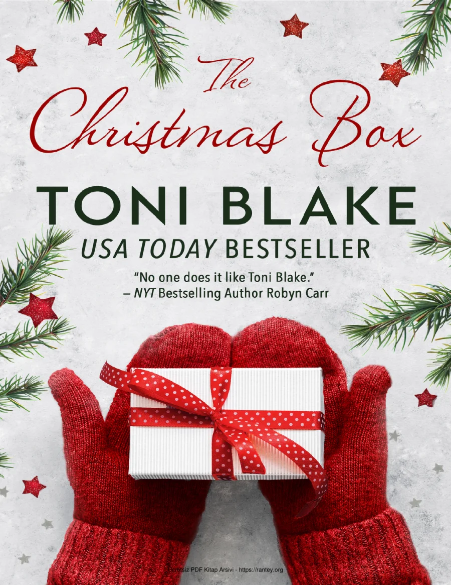 The Christmas Box kapak görseli