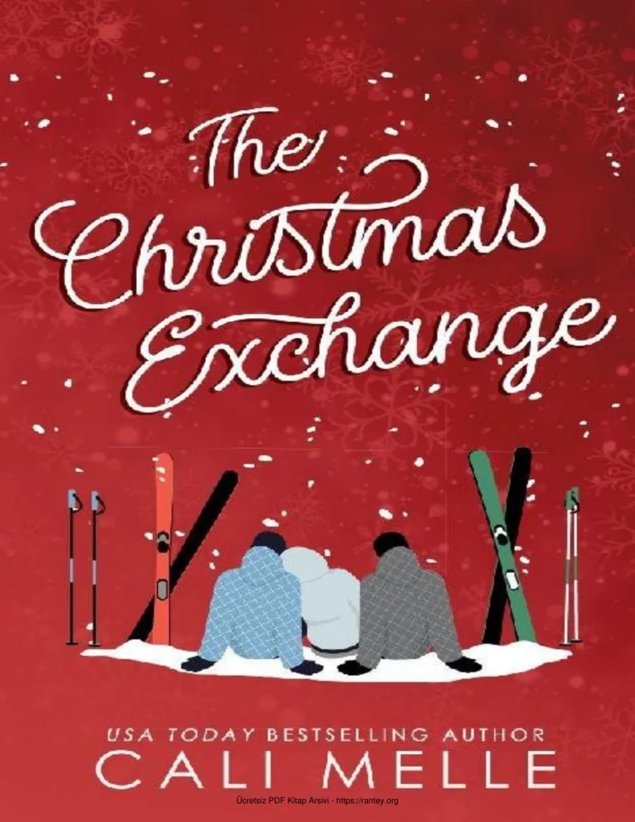 The Christmas Exchange kapak görseli