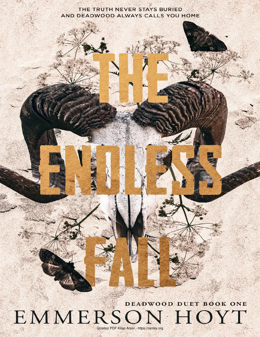 The Endless Fall kapak görseli