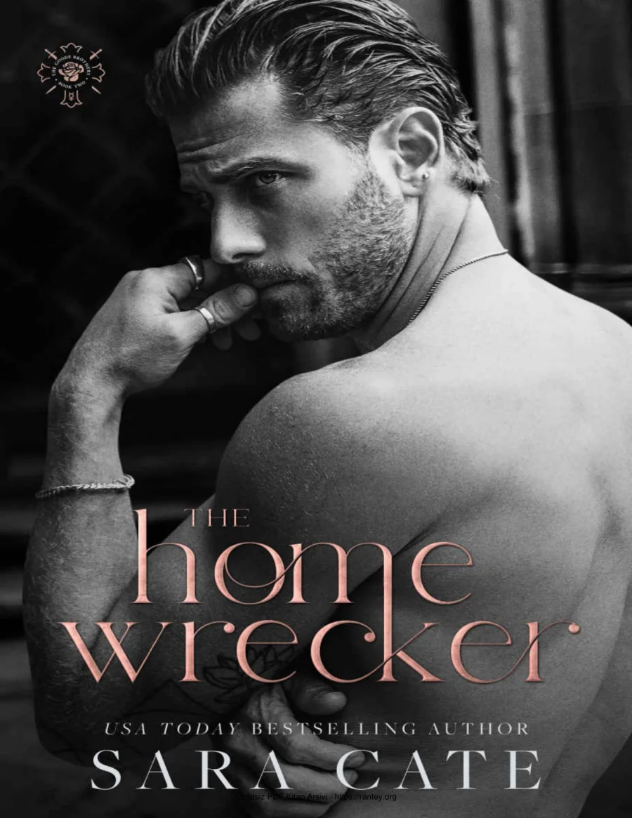 The Home Wrecker kapak görseli