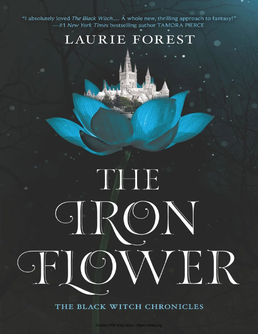 The Iron Flower kapak görseli