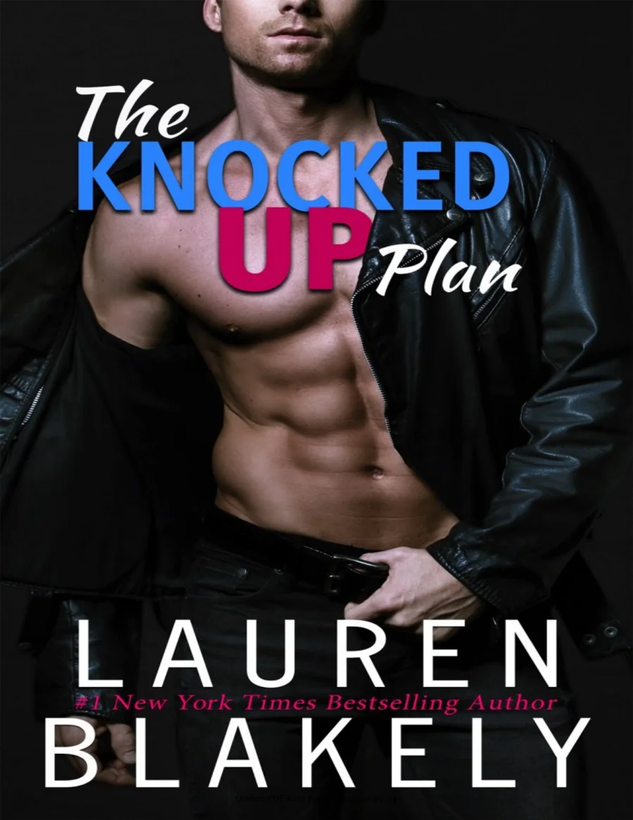 The Knocked up Plan kapak görseli