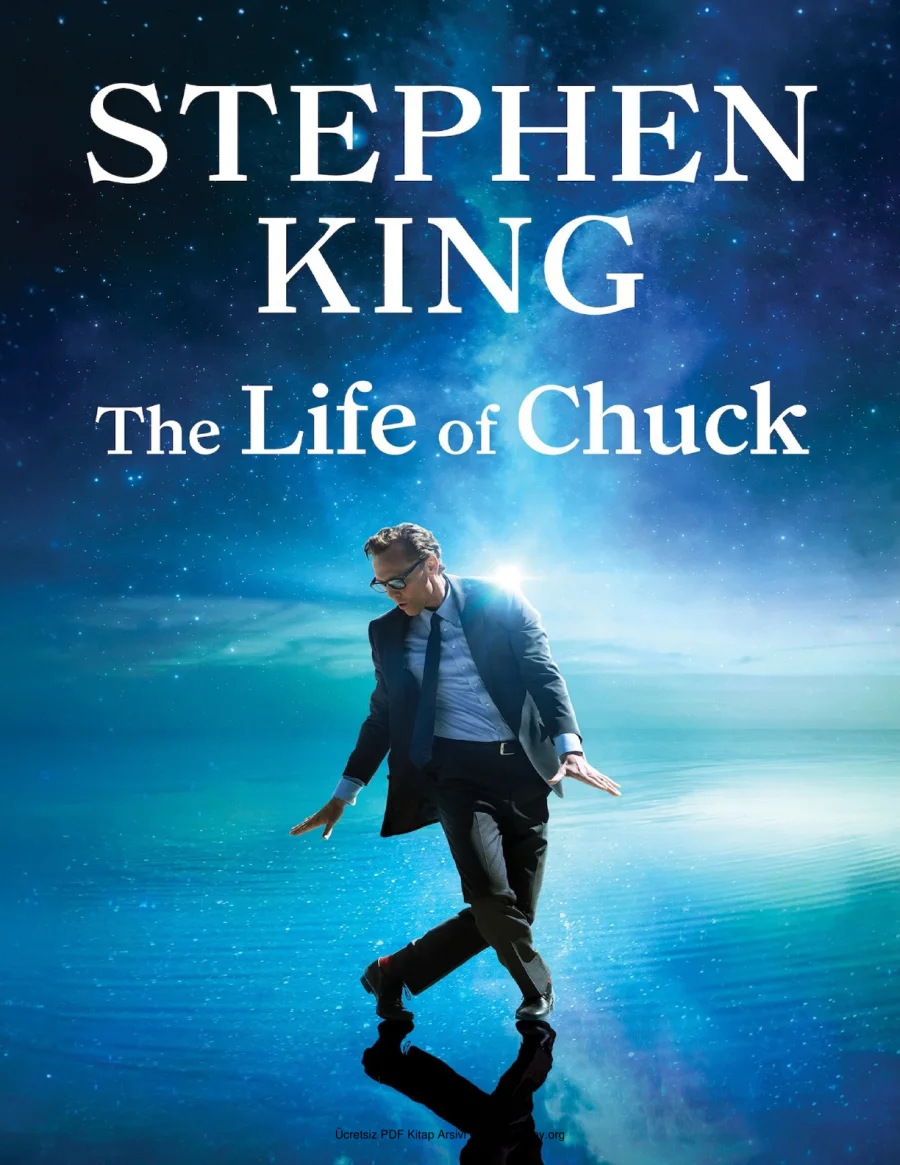 The Life of Chuck kapak görseli