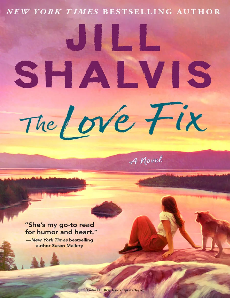 The Love Fix kapak görseli