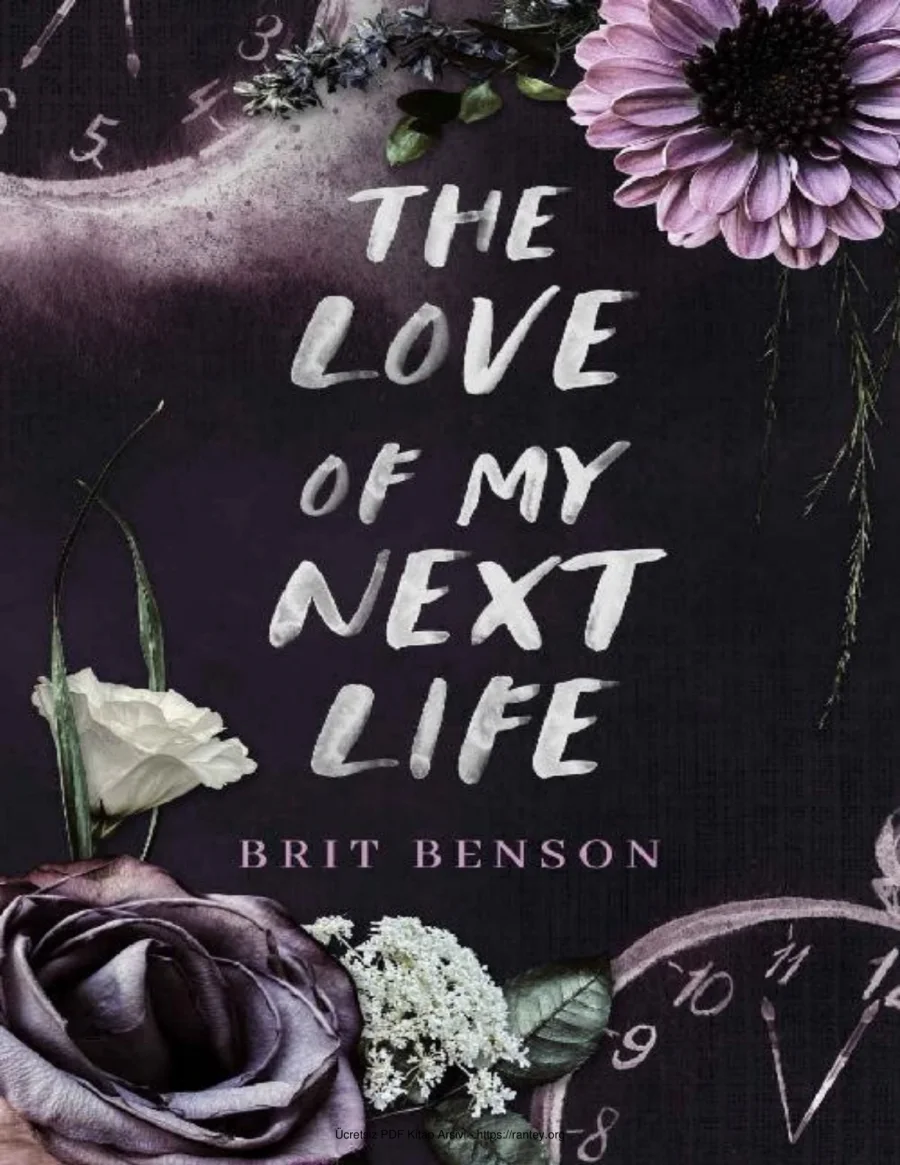 The Love of My Next Life kapak görseli