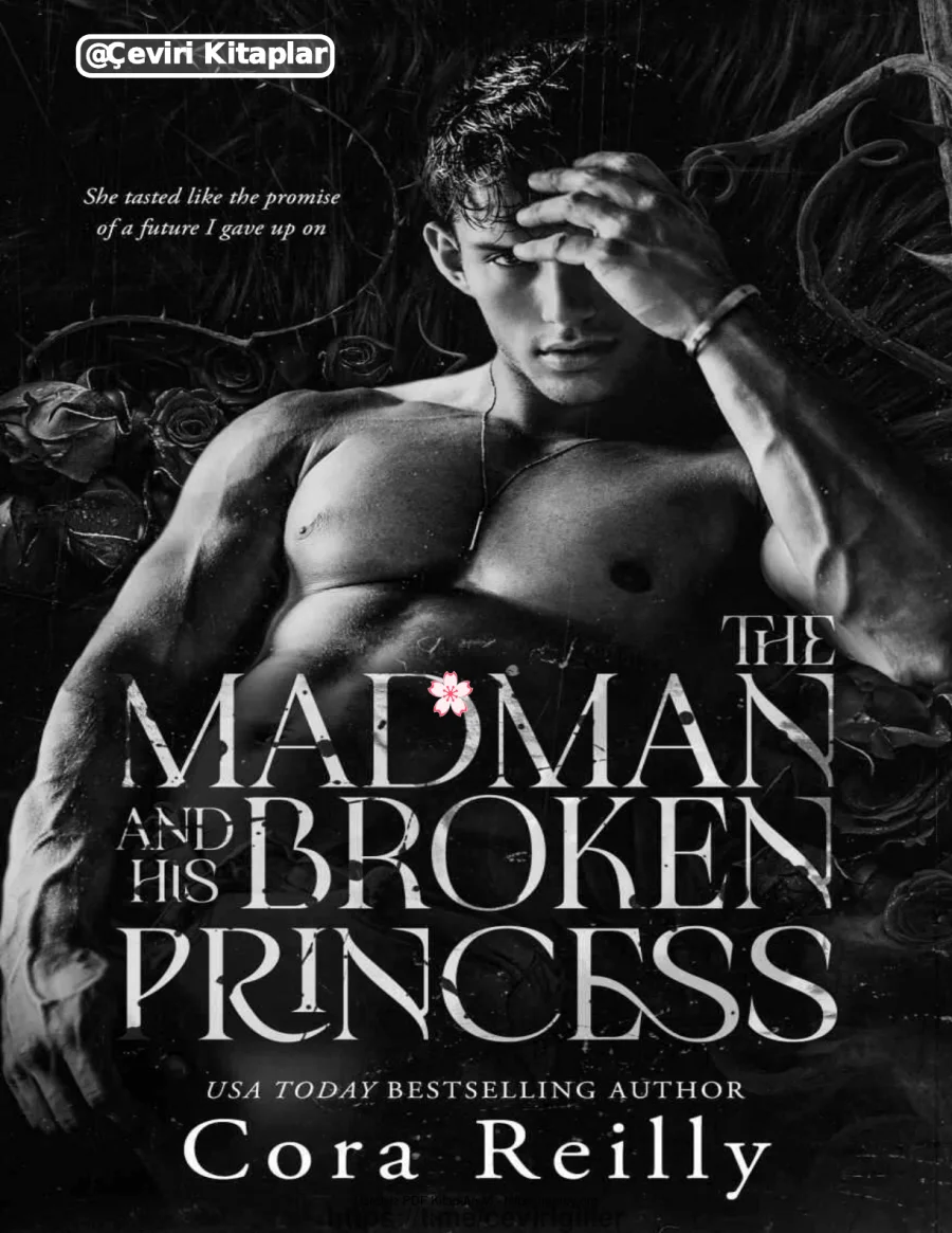 The Madman and His Broken Princess kapak görseli
