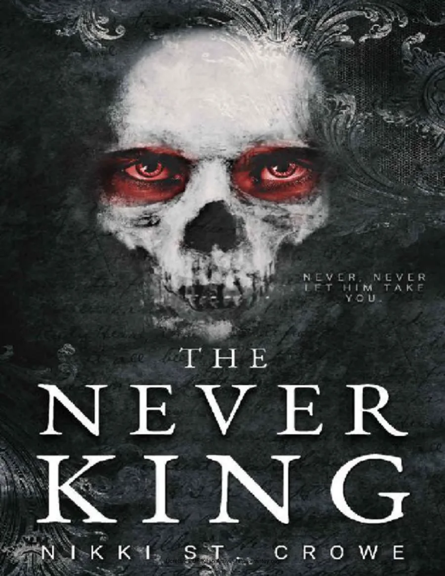 The Never King kapak görseli