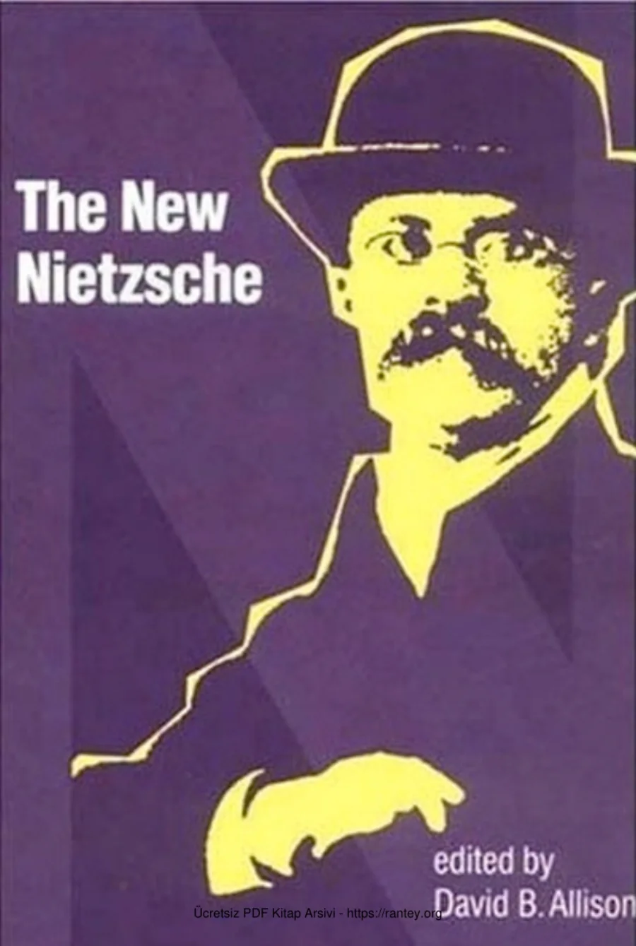 The New Nietzsche: Contemporary Styles of Interpretation kapak görseli