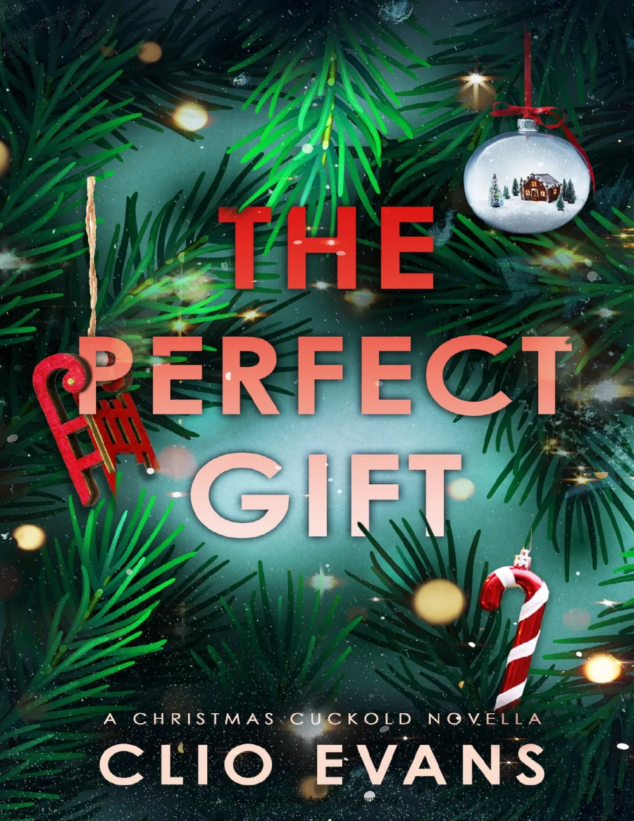 The Perfect Gift kapak görseli