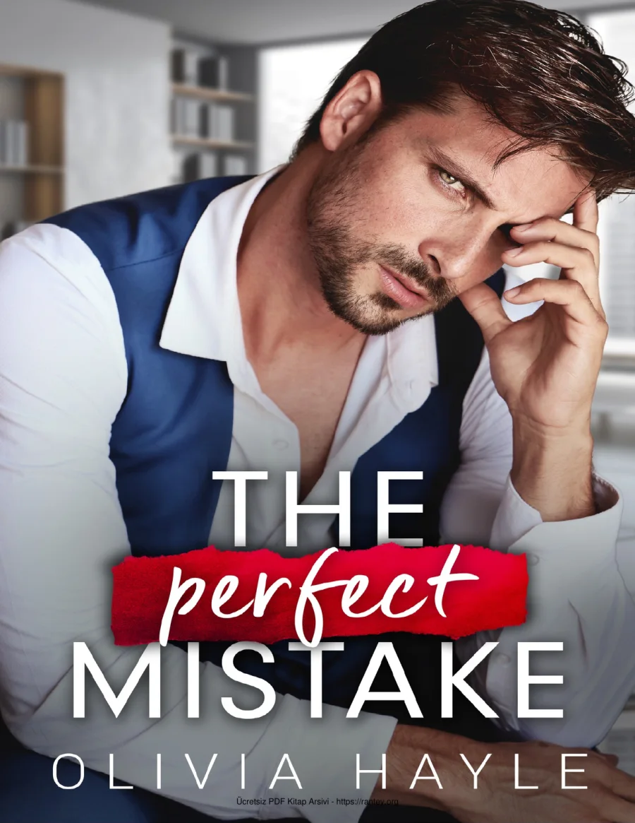 The Perfect Mistake kapak görseli