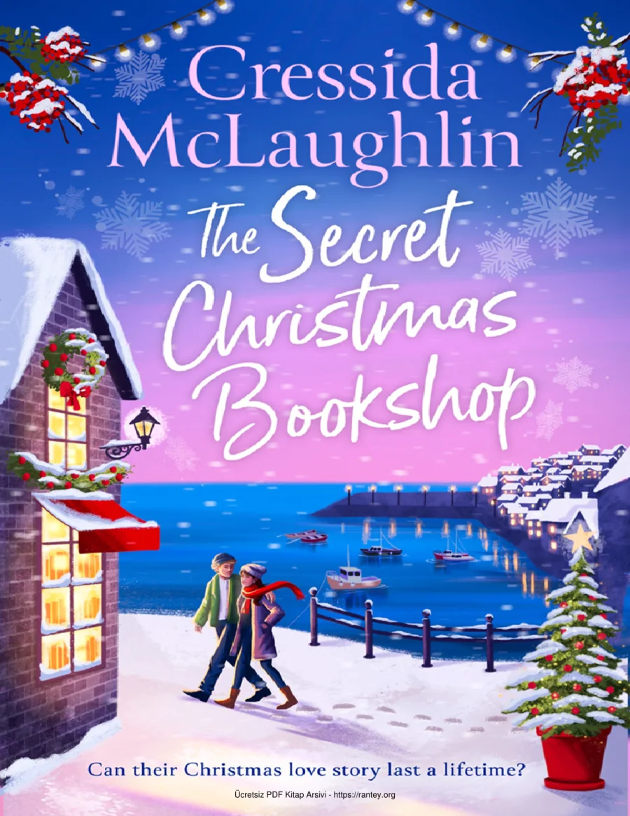 The Secret Christmas kapak görseli