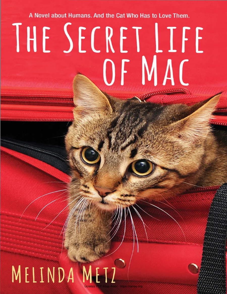 The Secret Life of Mac kapak görseli