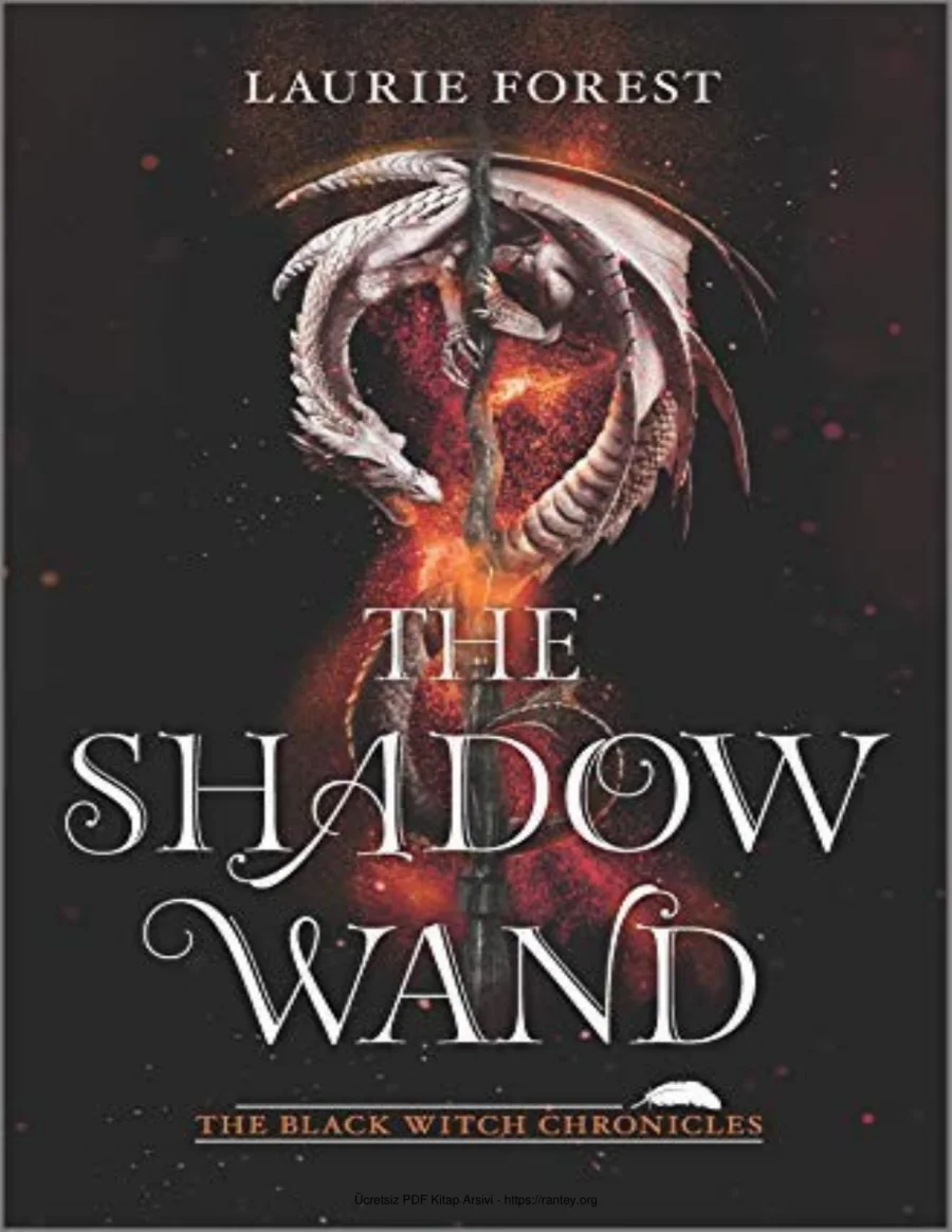 The Shadow Wand kapak görseli