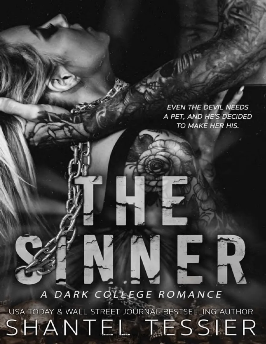 The Sinner kapak görseli