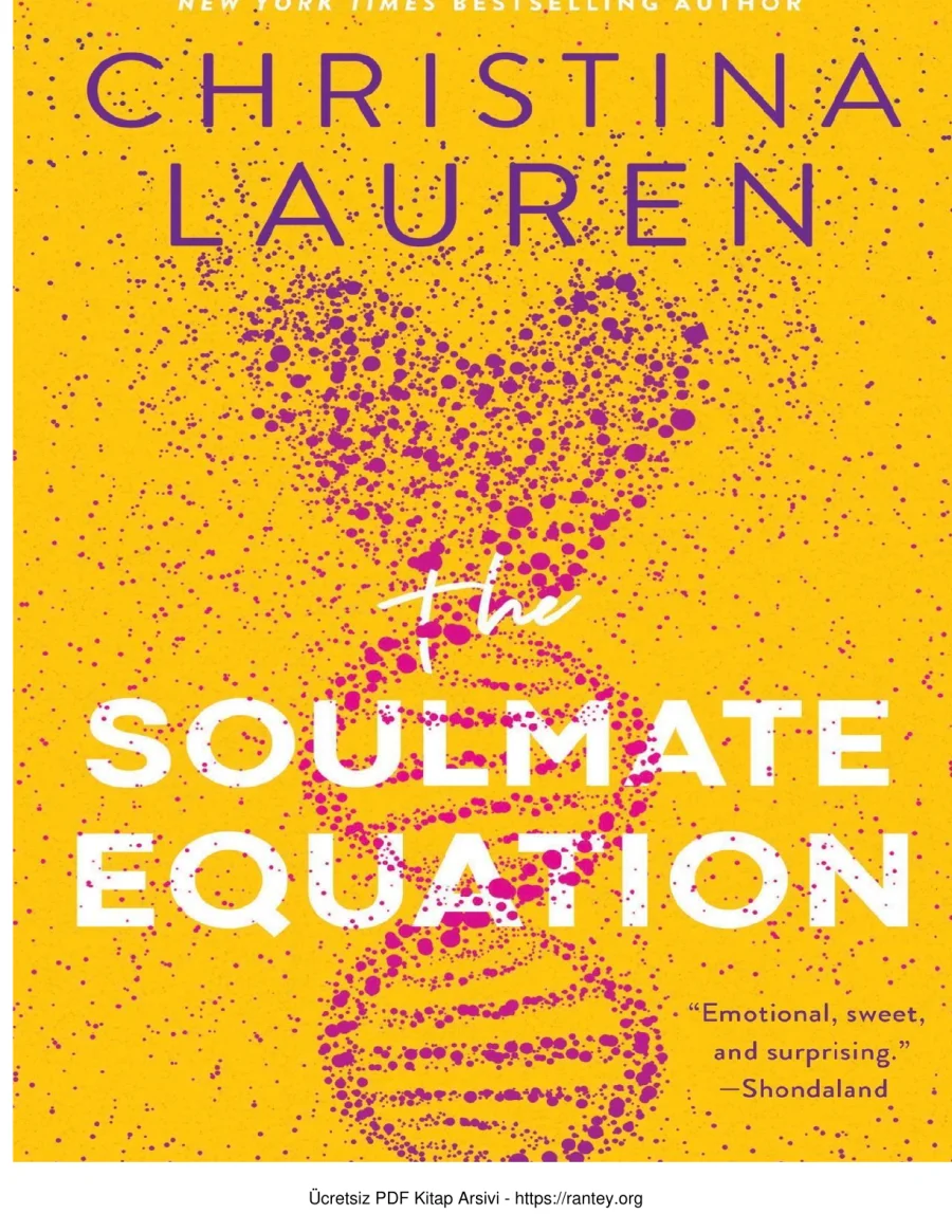 The Soulmate Equation kapak görseli