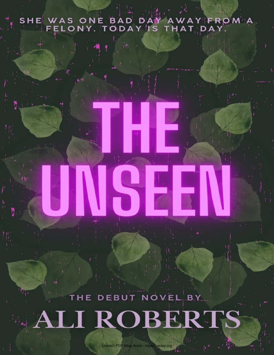 The Unseen kapak görseli