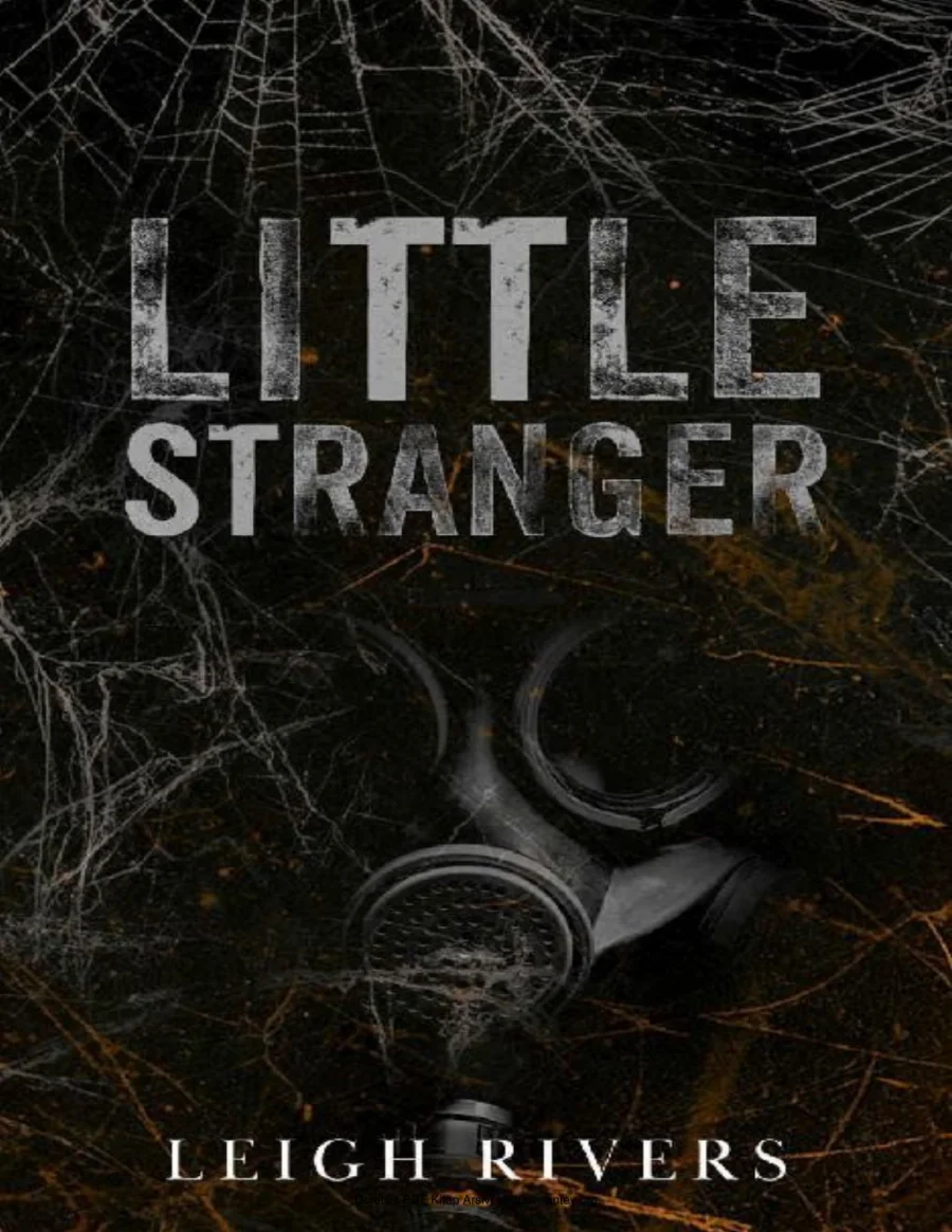 The Web of Silence Duet 1 Little Stranger kapak görseli
