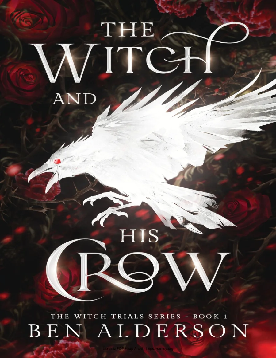 The Witch and His Crow kapak görseli