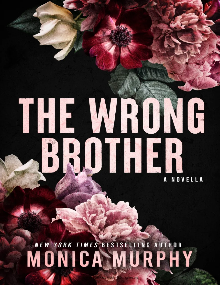 The Wrong Brother kapak görseli