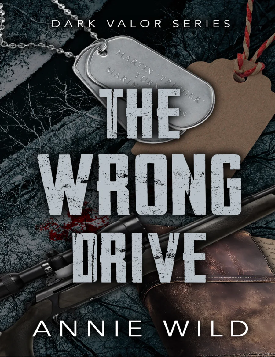 The Wrong Drive kapak görseli