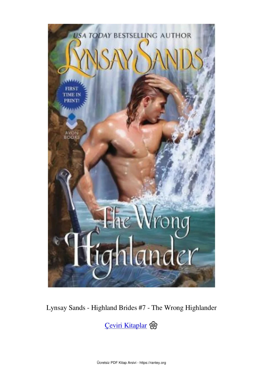 The Wrong Highlander kapak görseli