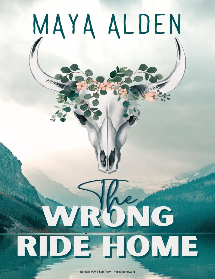 The Wrong Ride Home kapak görseli