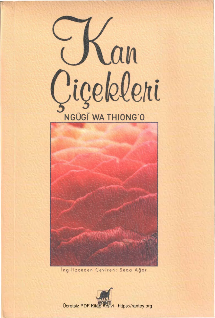 Thiongo Kan Çiçekleri kapak görseli