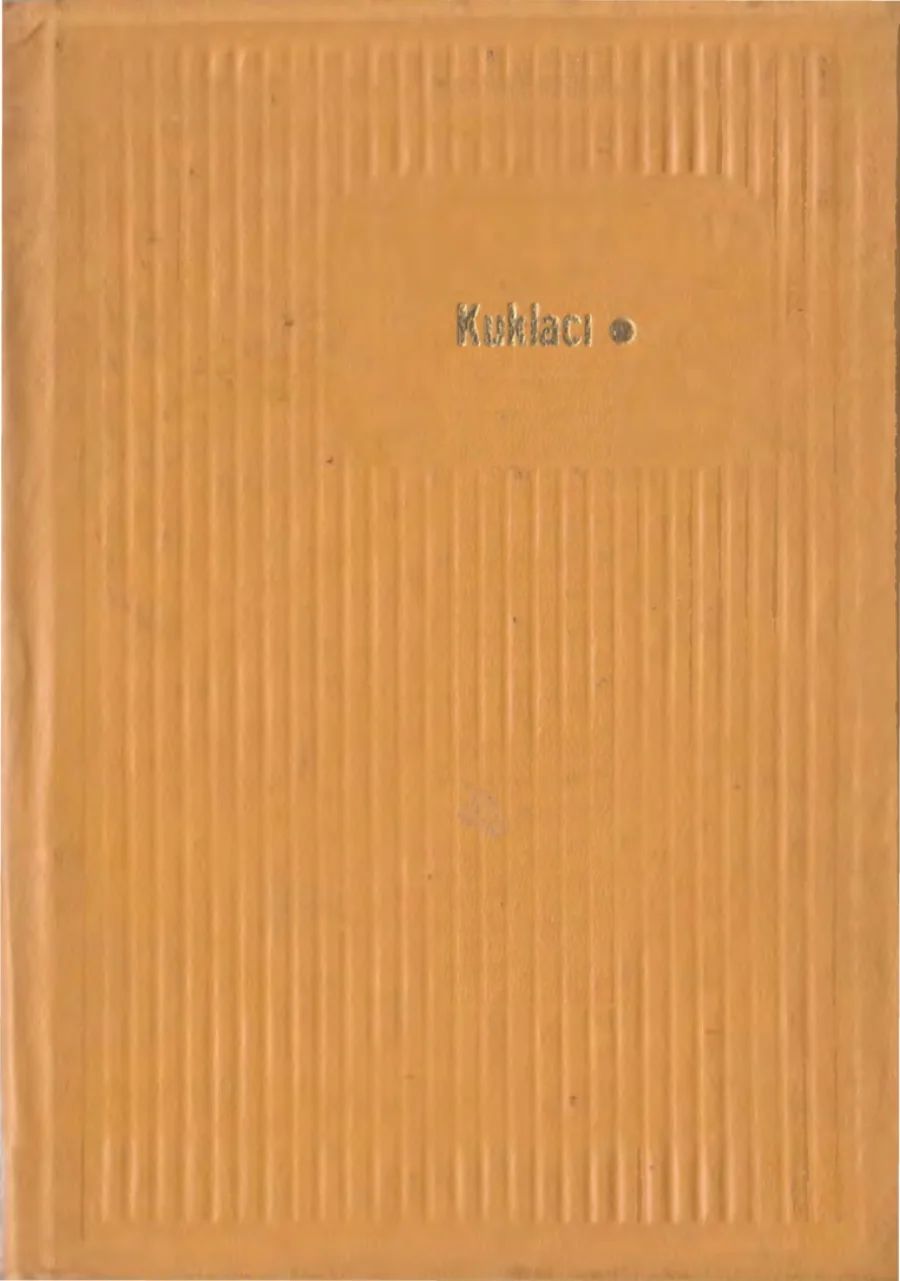 Tillard Kuklacı kitap kapağı