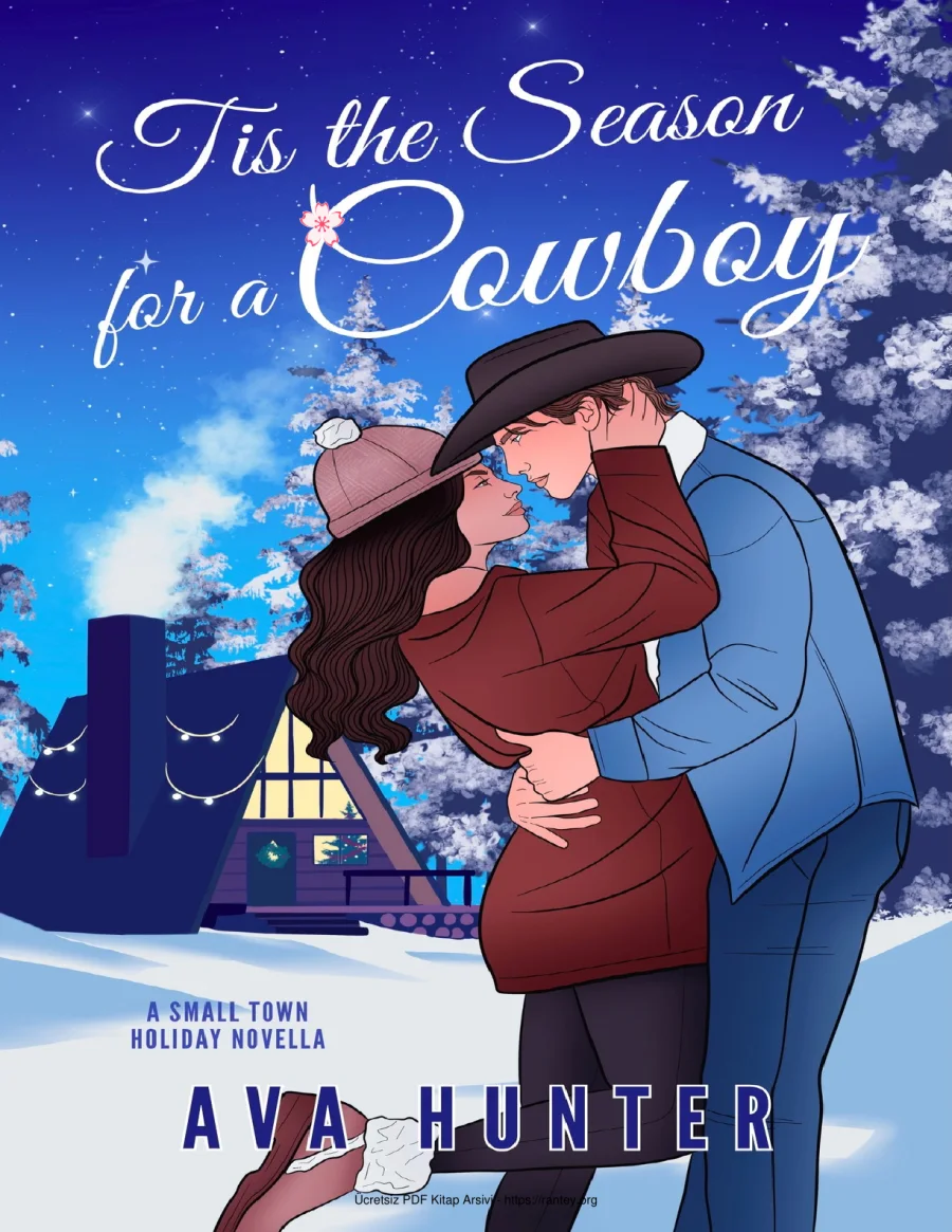 Tis the Season for a Cowboy kapak görseli