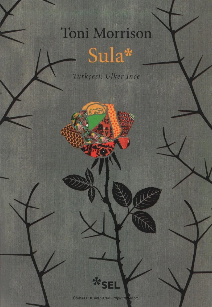 Toni Morrison Sula kapak görseli