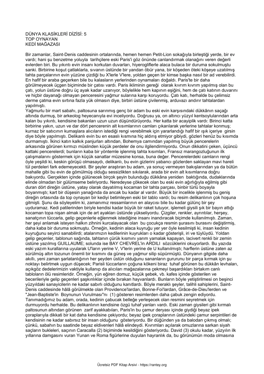 Top Oynayan Kedi Magazasi kapak görseli