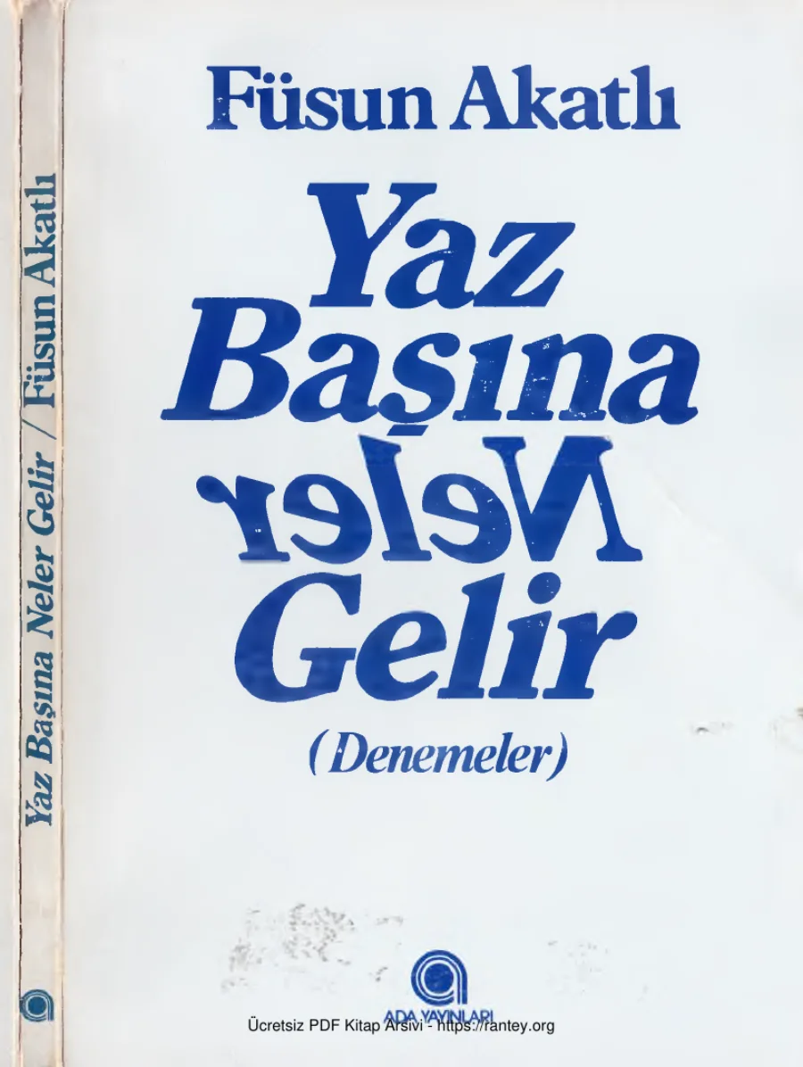 Toplu Eserleri 10 Yaz Başına Neler Gelir Ada Yayınları kapak görseli